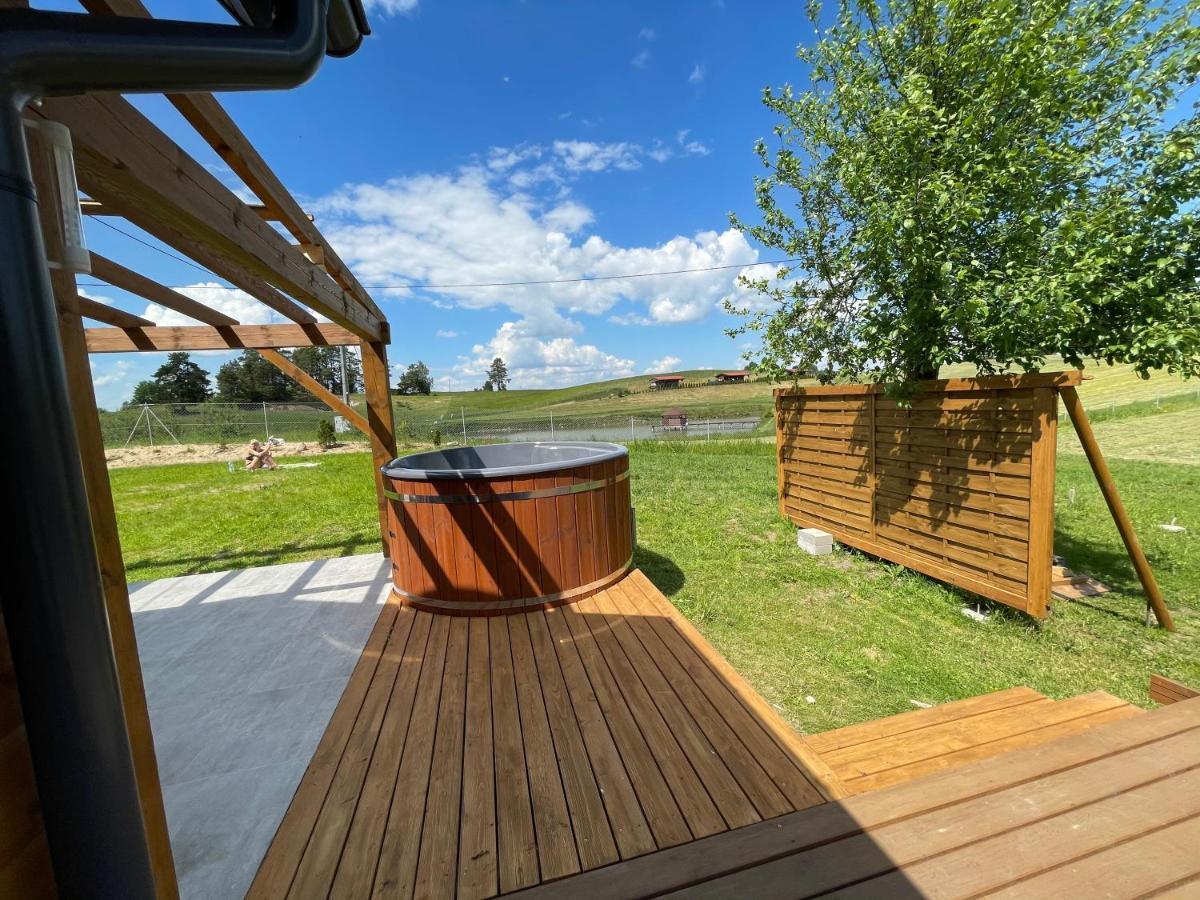 Holiday home Dom Na Skraju Lasu *