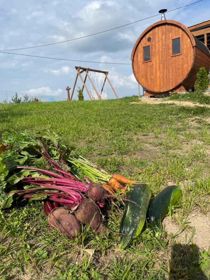 Dom Na Skraju Lasu Holiday home